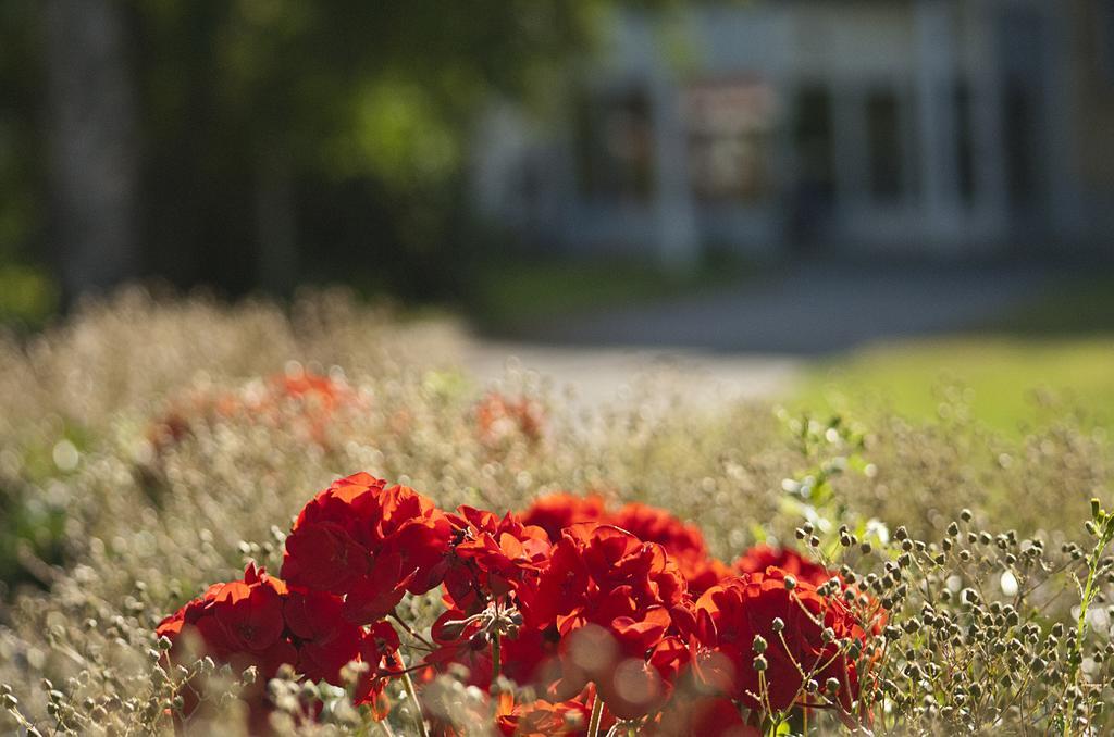 Sunderby Folkhoegskola Hotell & Konferens Luleå Εξωτερικό φωτογραφία